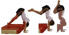 evolugym