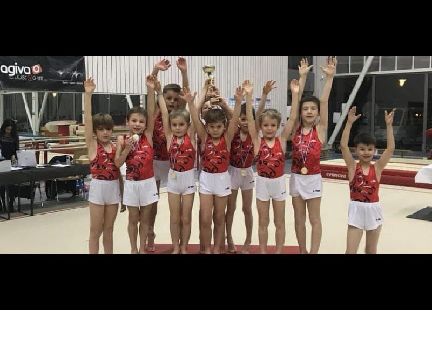 Article DNA 20190308